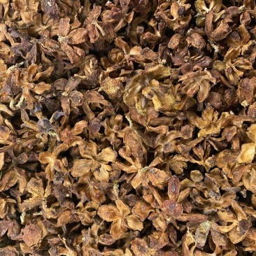 侧柏壳，柏壳，柏树壳松柏壳，柏子壳