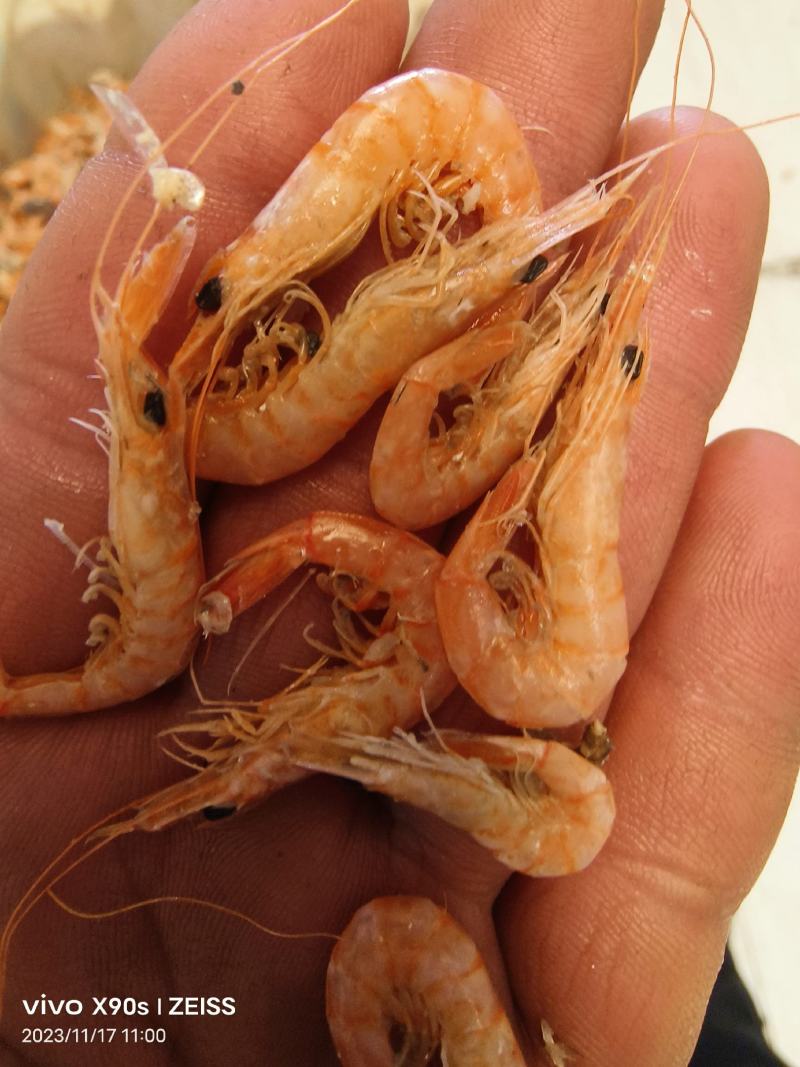 红虾铁皮红虾低盐有口感有卖相跑江湖赶大集小食品原料选品