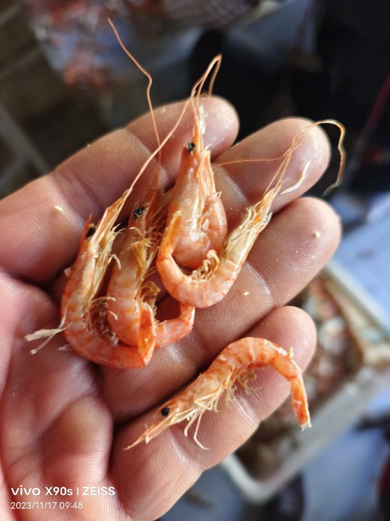 红虾铁皮红虾低盐有口感有卖相跑江湖赶大集小食品原料选品