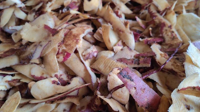 【猪牛羊饲料】广西新鲜芋头皮红薯皮厂家直供长期供应
