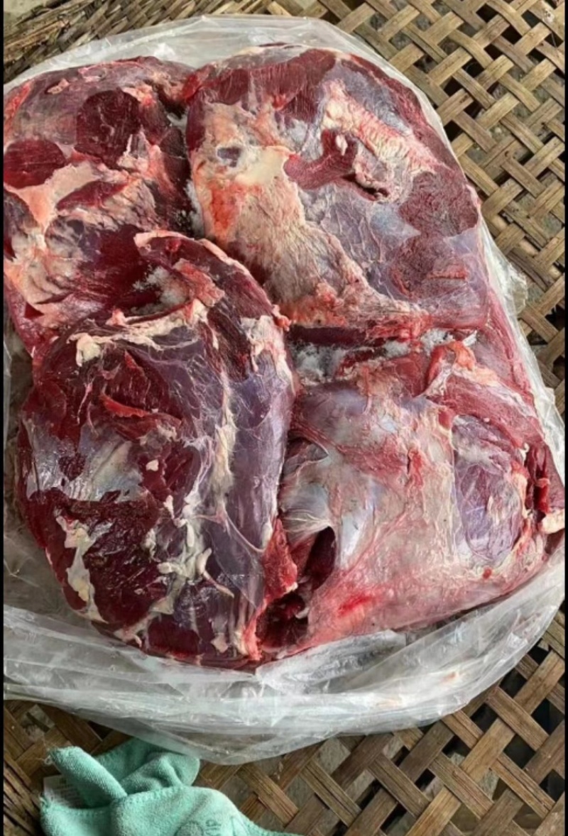 黄牛肉牛腿肉无注水假一罚百屠宰场现杀