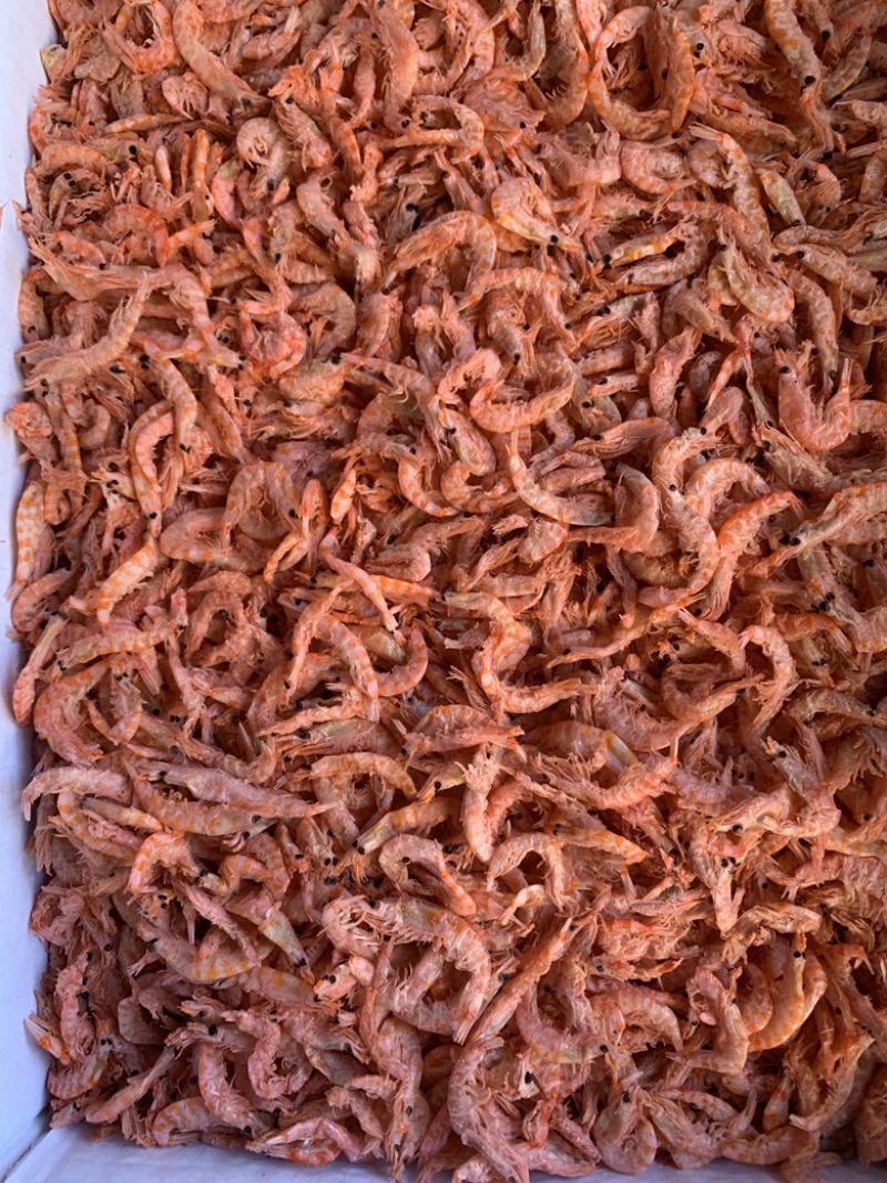 虾干展会地摊电商麟虾干虾仁虾肉海虾干虾