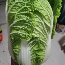 大白菜。清杂3