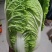 大白菜。清杂3
