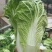 大白菜。清杂3