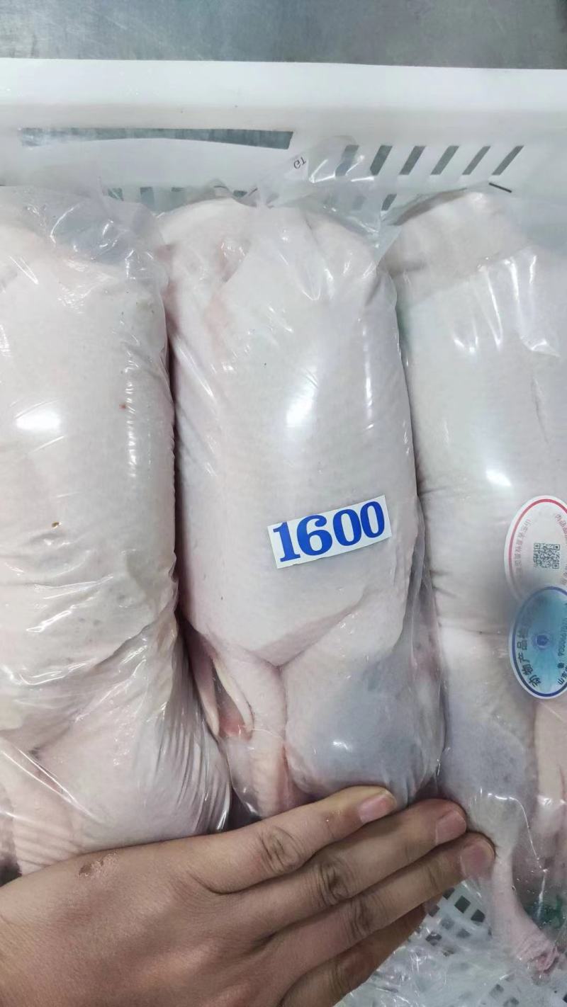 白条鸭全规格