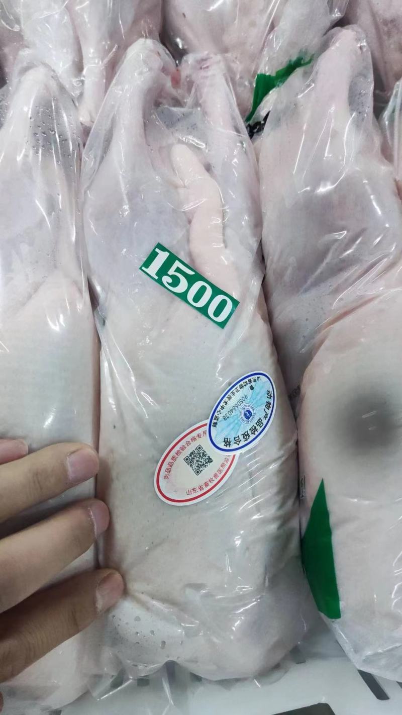 白条鸭全规格