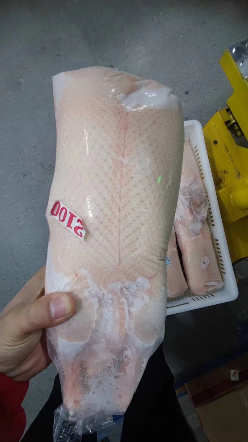 白条鸭全规格