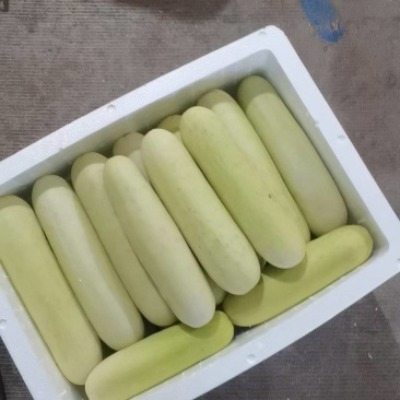 基地种植，蔬菜，支持各种规格包装，品质保证