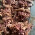 火烧毛纯熟五香牛头肉，品质保证，大量有货，欢迎来电咨询