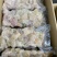 【牛筋肠】牛副产品滨州牛筋肠厂家直发现货实拍的价格不高