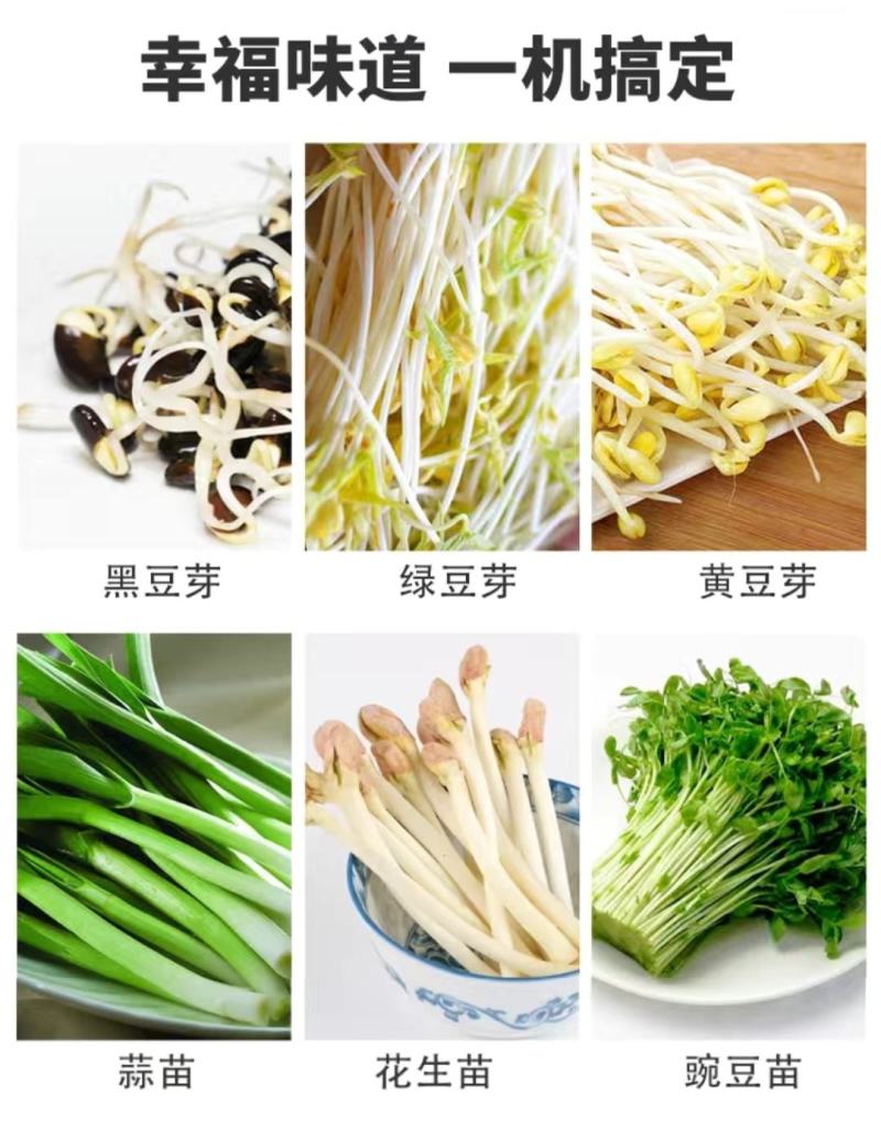 全自动豆芽机豆制品设备制作生产线绿豆芽黄豆芽商用大容量