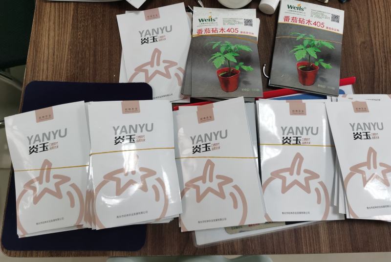 炎玉大果口感番茄种子多心室带绿肩1000粒