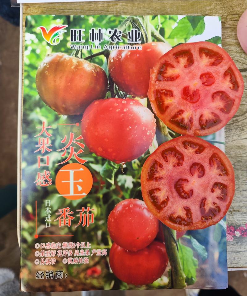 炎玉大果口感番茄种子多心室带绿肩1000粒