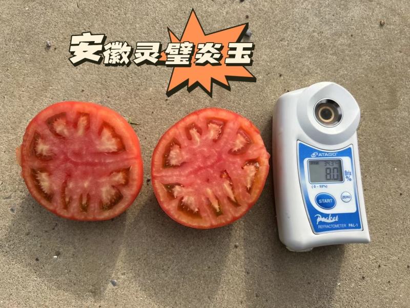 炎玉大果口感番茄种子多心室带绿肩1000粒
