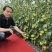 炎玉大果口感番茄种子多心室带绿肩1000粒