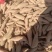 烟薯25大量有货，产地直发，欢迎全国各地老板前来选购