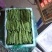 云南油豆角大量上市.整车发货.一件代发电商货货源充足