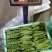 云南油豆角大量上市.整车发货.一件代发电商货货源充足