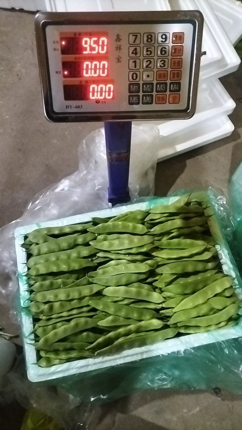 云南油豆角大量上市.整车发货.一件代发电商货货源充足