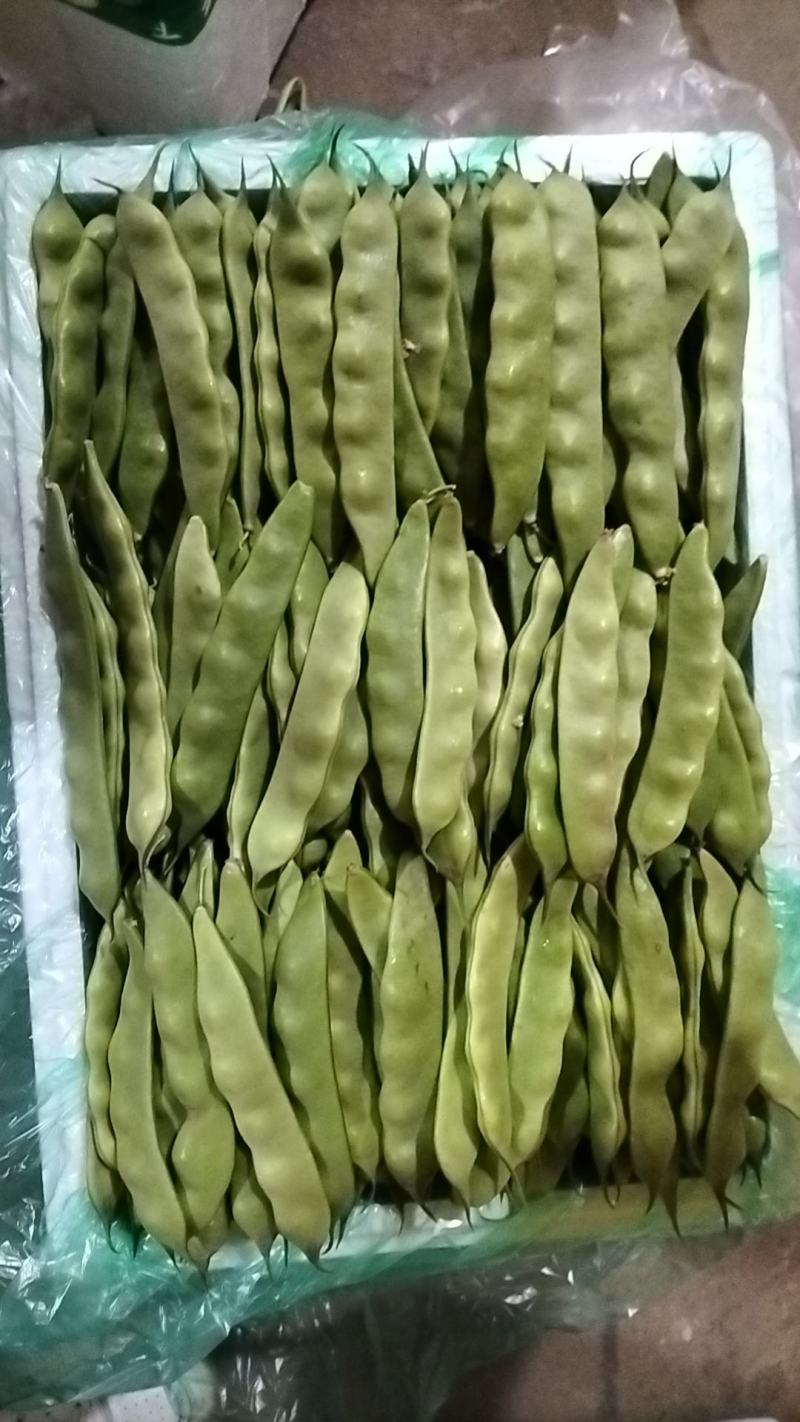 云南油豆角大量上市.整车发货.一件代发电商货货源充足