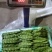 云南油豆角大量上市.整车发货.一件代发电商货货源充足
