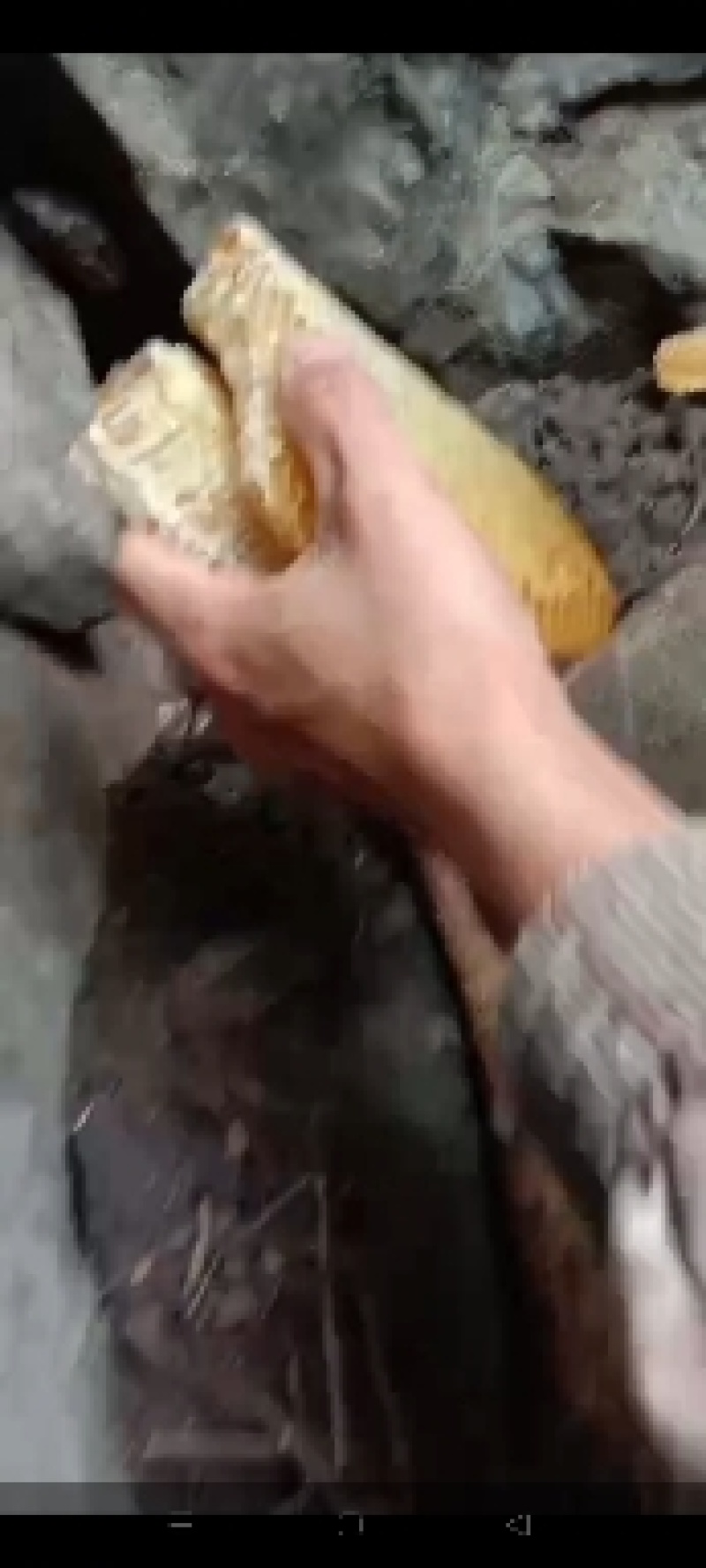 野生蜂蜜，自产自销