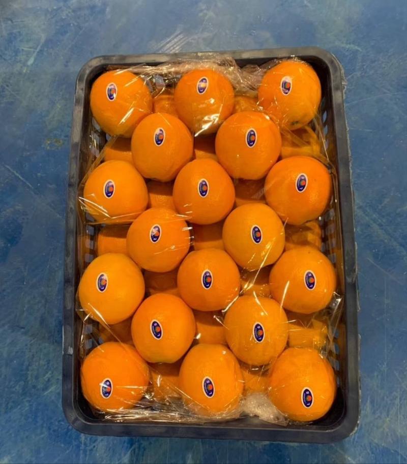 纽荷尔脐橙中华红橙/保质保量，坏烂果无理由先行赔付