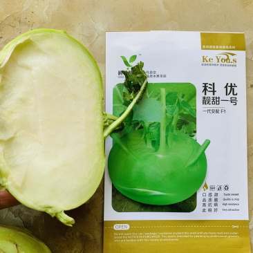 靓甜一号二号水果苤蓝种子脆甜皮薄含糖量高早熟扁青苤兰种子