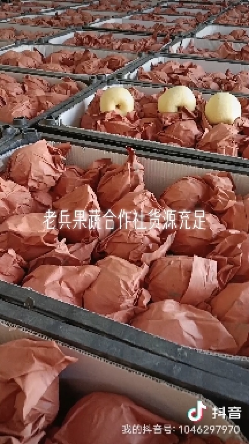 【贡梨】山西平遥贡梨，皮薄水分，特甜大量有货，品质保证