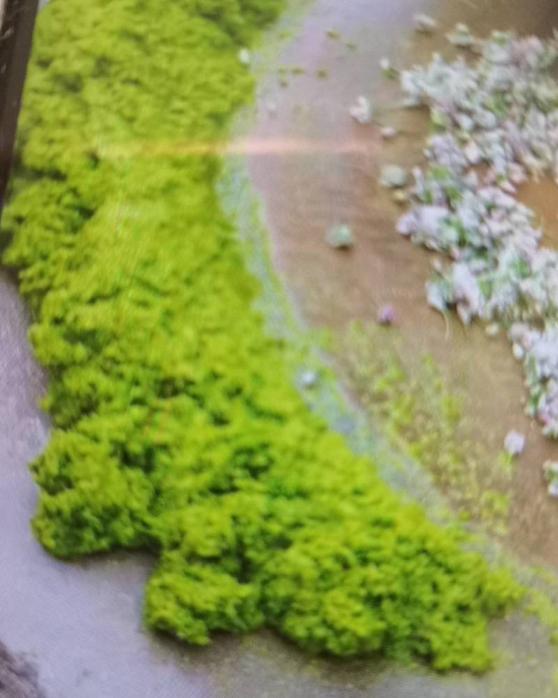 卖山韭花