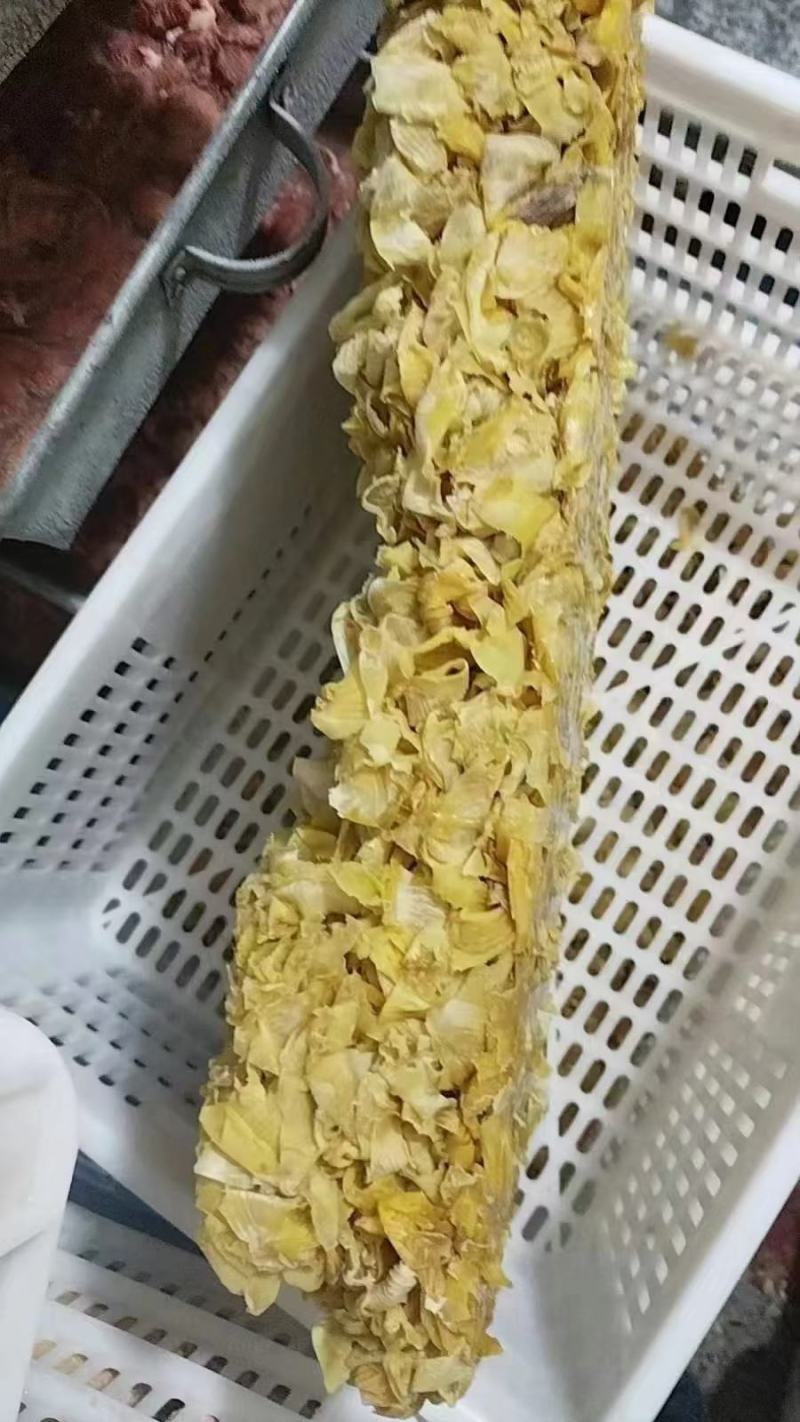 鸡内金