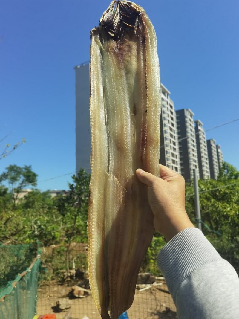 自家晒场鳗鱼干，一件发货，晒厂直接供货。