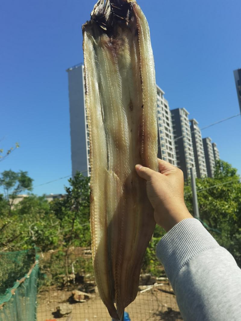 自家晒场鳗鱼干，一件发货，晒厂直接供货。