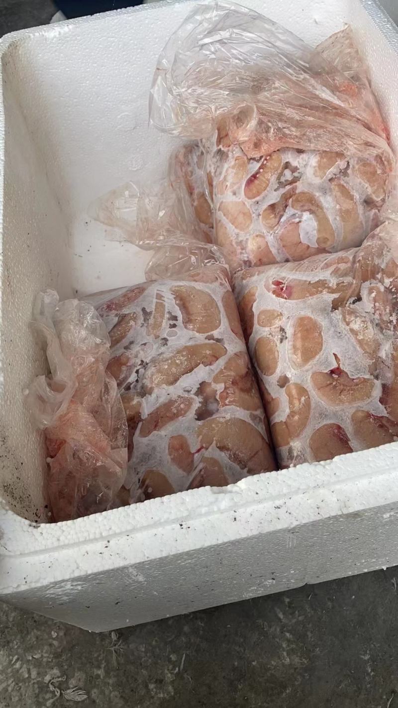 鸭腰子，一公斤一袋，干货，屠宰场原料，质量很好