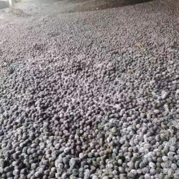 纯羊粪颗粒