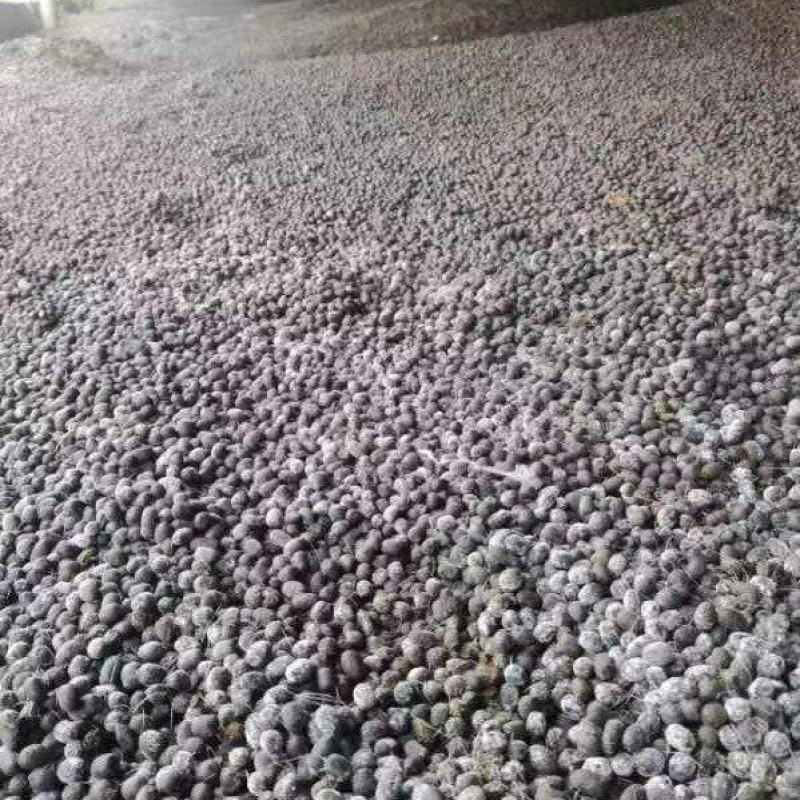 纯羊粪颗粒