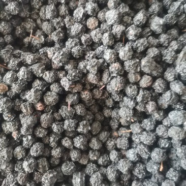 黑莓黑果腺肋花揪果不老莓优质干果，已烘干少量起批