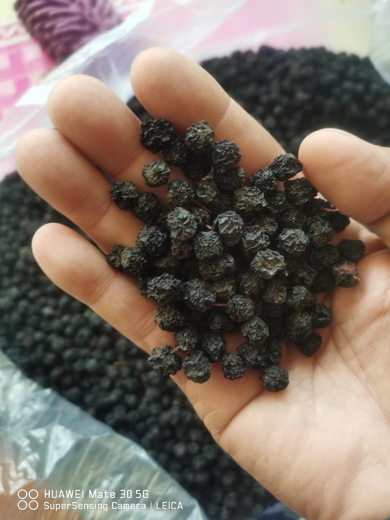 黑莓黑果腺肋花揪果不老莓优质干果，已烘干少量起批