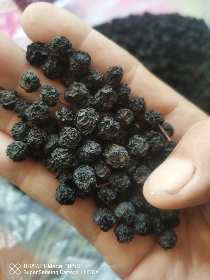 黑莓黑果腺肋花揪果不老莓优质干果，已烘干少量起批