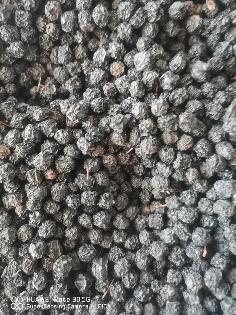 黑莓黑果腺肋花揪果不老莓优质干果，已烘干少量起批