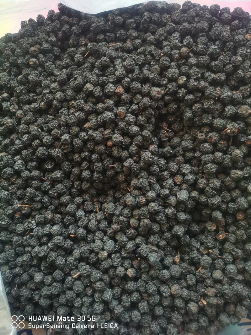 黑莓黑果腺肋花揪果不老莓优质干果，已烘干少量起批