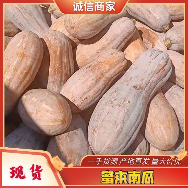 【蜜本南瓜】云南曲靖等各产地常年不断货，量大从优欢迎咨询