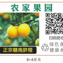 赣南脐橙