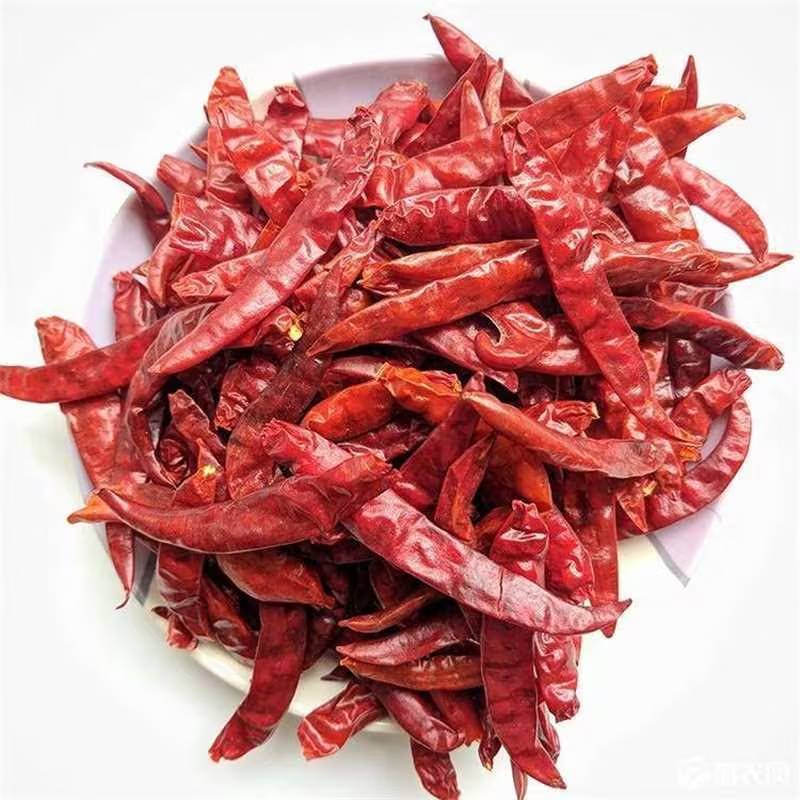 特辣特辣！印度魔鬼椒，量大从优欢迎老板选购