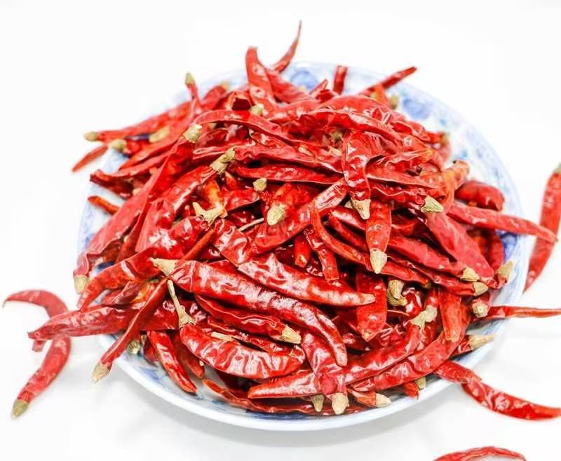 特辣特辣！印度魔鬼椒，量大从优欢迎老板选购