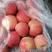 红富士苹果河北优质苹果种类齐全量大从优欢迎老板选购