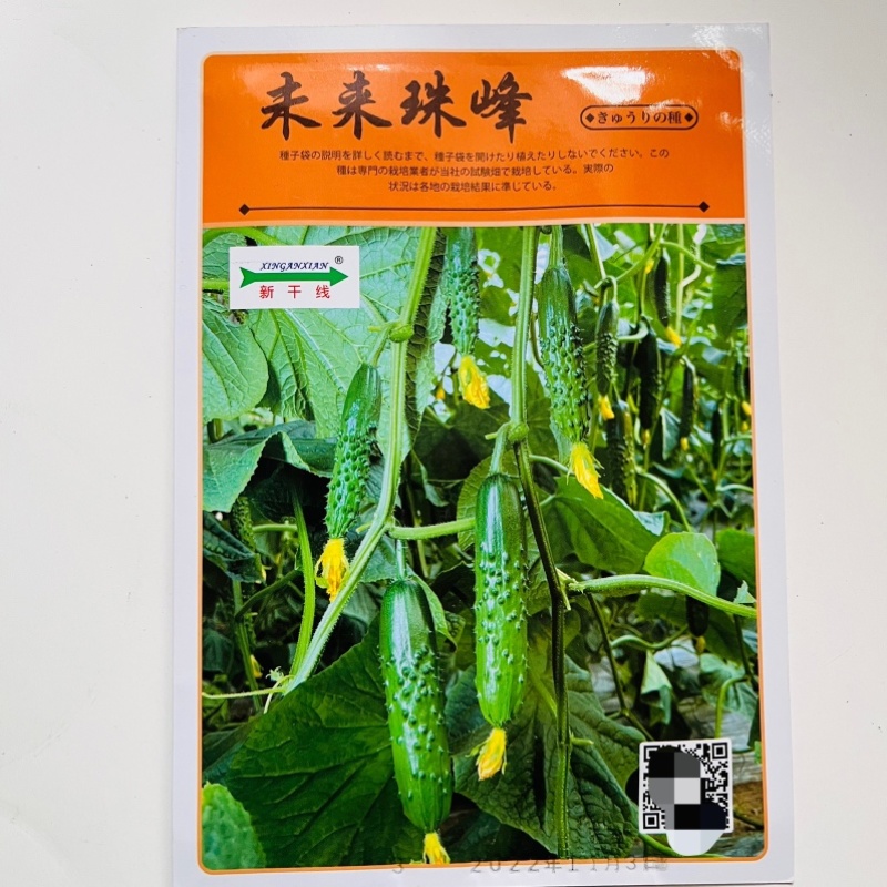 华丽3号新干线水果黄瓜品种，强磁翠绿色品种种子
