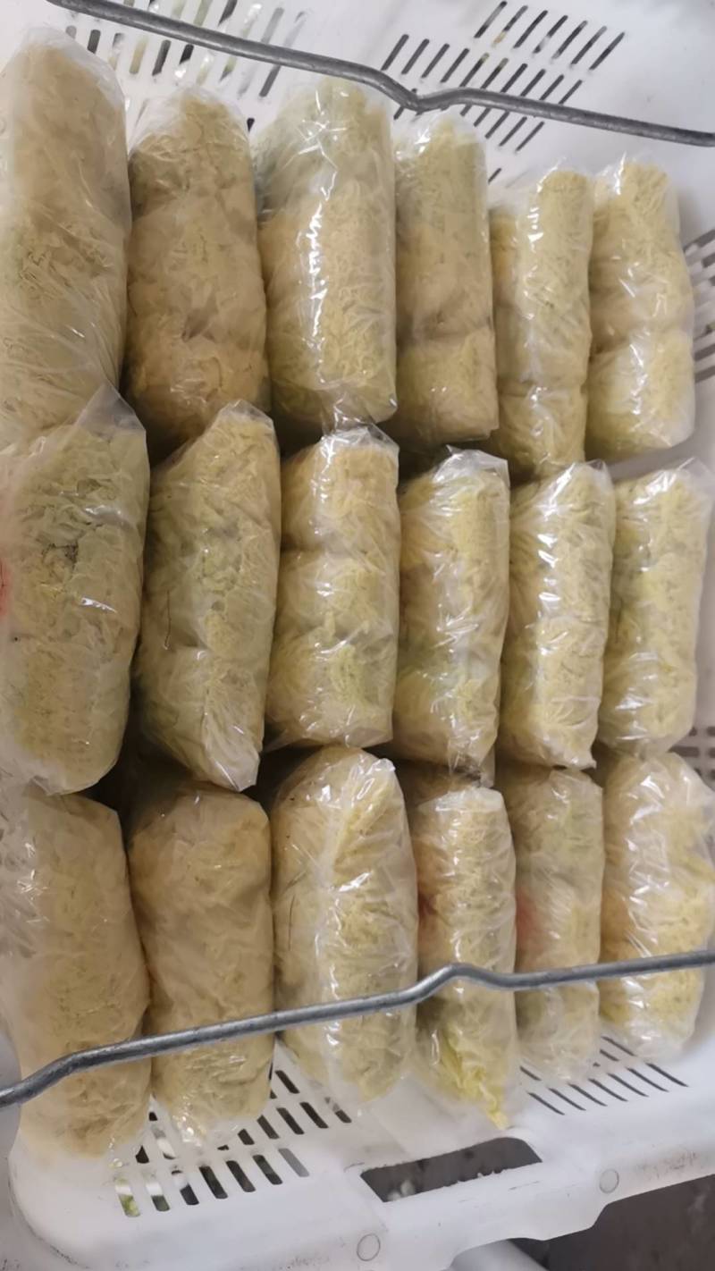 【源头直采】甘肃大娃娃菜新鲜上市一手货源可视频看货