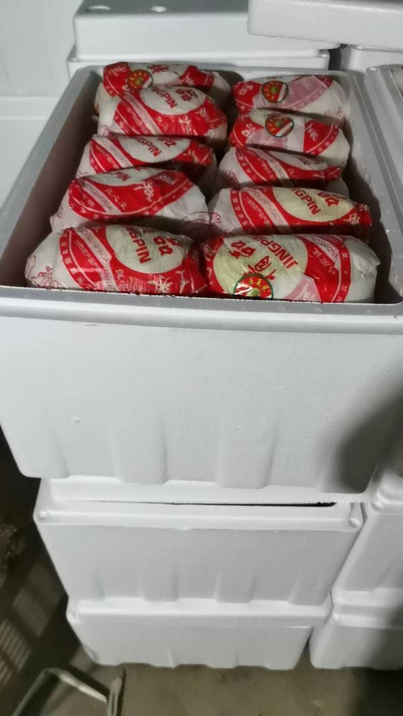 【源头直采】甘肃大娃娃菜新鲜上市一手货源可视频看货